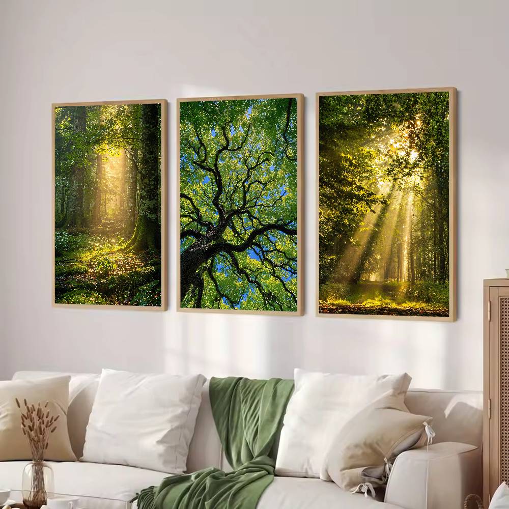 Güneş Işığı Ormanı Doğa Poster - Wall Decor Lighting Tree incelemesi ve fiyatı