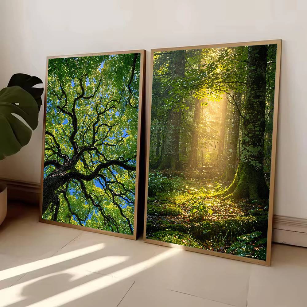 Güneş Işığı Ormanı Doğa Poster - Wall Decor Lighting Tree incelemesi ve fiyatı