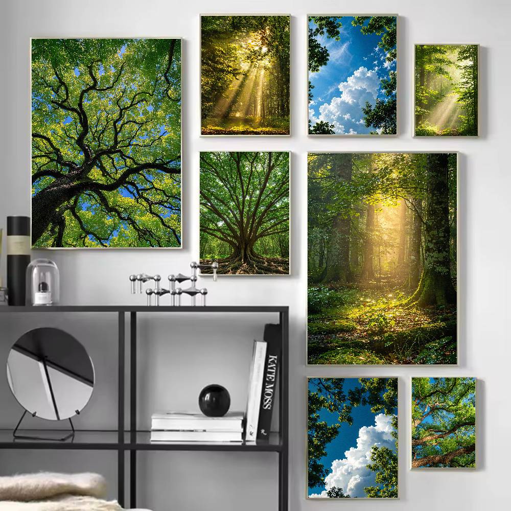 Güneş Işığı Ormanı Doğa Poster - Wall Decor Lighting Tree incelemesi ve fiyatı