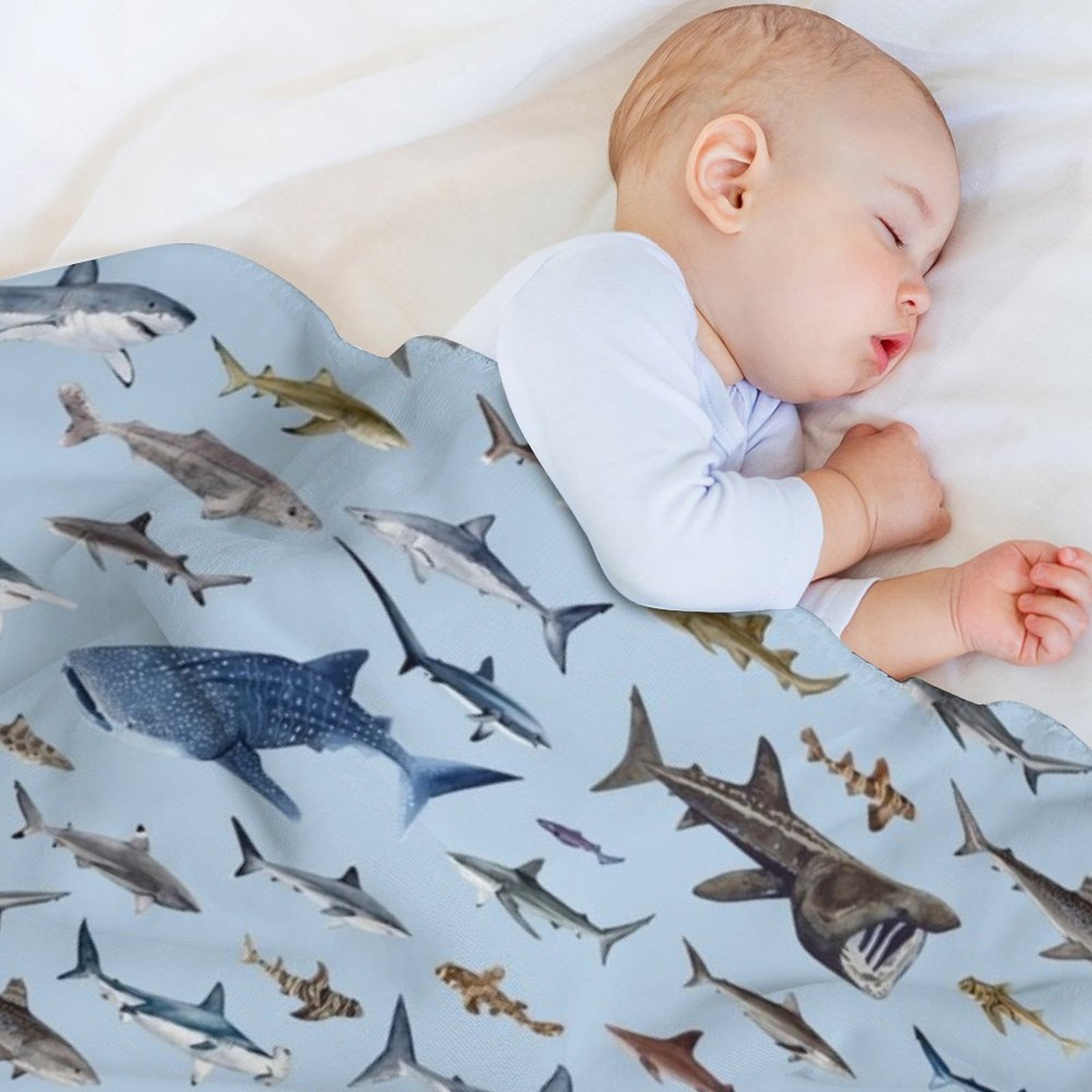SHARKS posteri - açık mavi ren - Lighting Home Decor Ideas incelemesi ve fiyatı