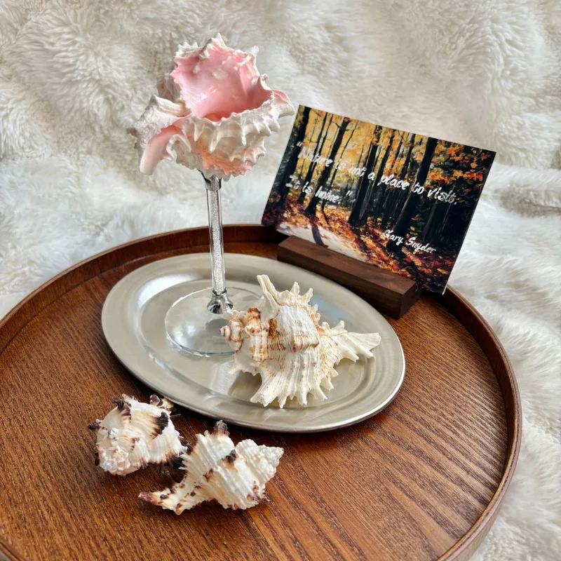 Hafif Lüks Deniz Kabuğu Şampan - Lighting Home Decor Ideas incelemesi ve fiyatı